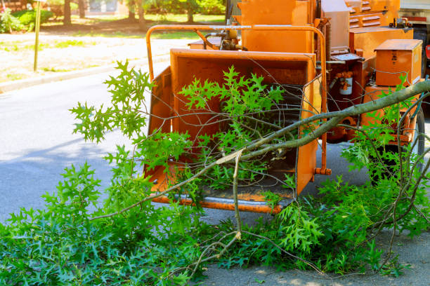 Best Professional Tree Care  in Spokane, WA